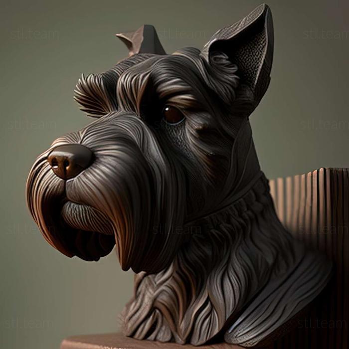 Zwergschnauzer dog